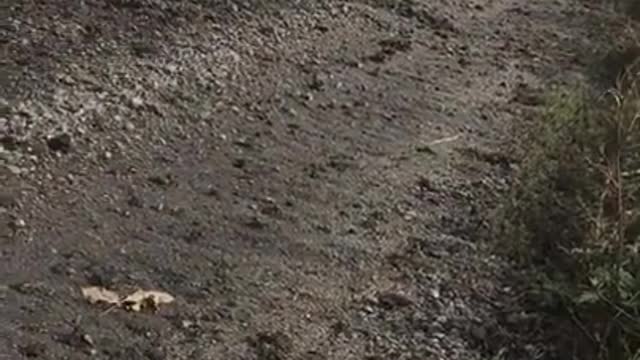 Ukrainian soldiers capture a reported russian sniper