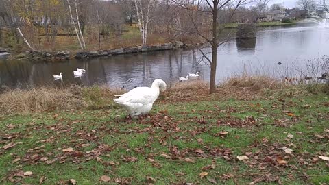 Helping Margaret with an itch