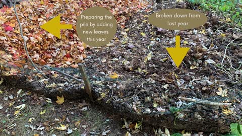 Growing Potatoes in a Leaf Pile - Preparing the Pile (DIY Gardening)