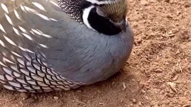 so beautiful