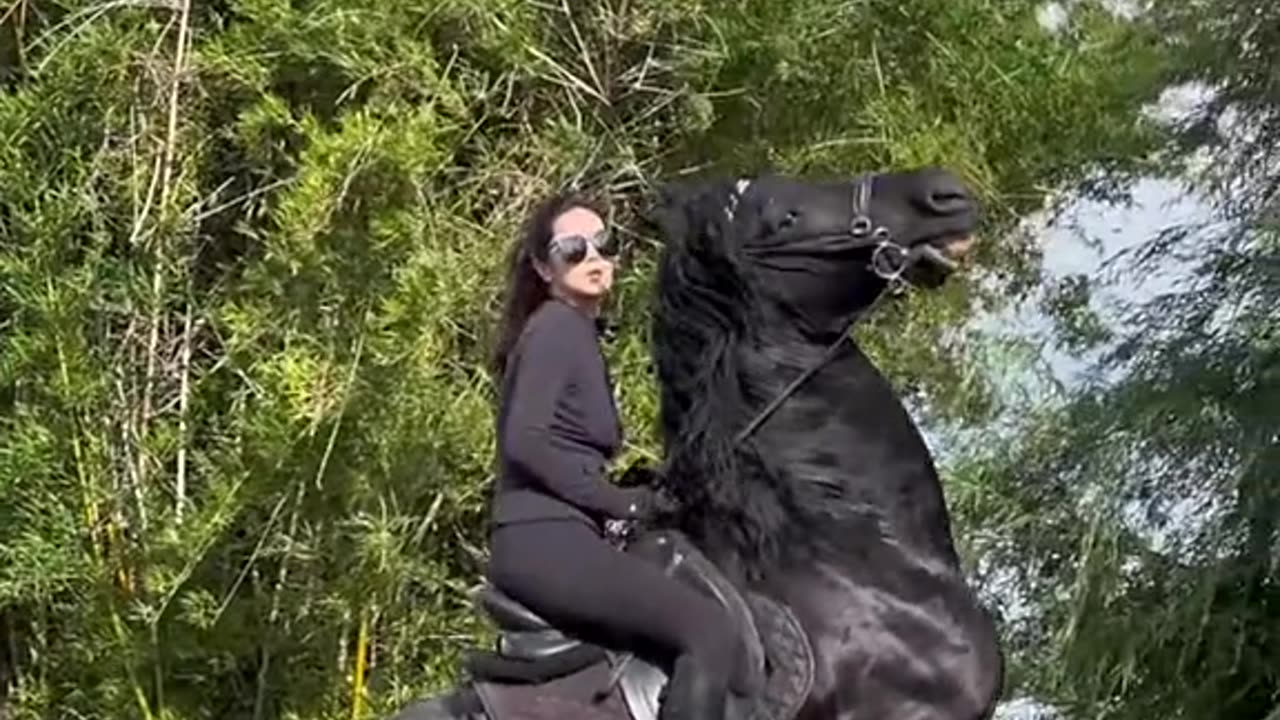 White beautiful girl and nice horse