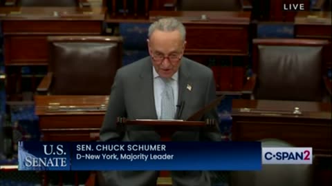 Chuck Schumer is Big Mad After Tucker Went Assange Mode on J6