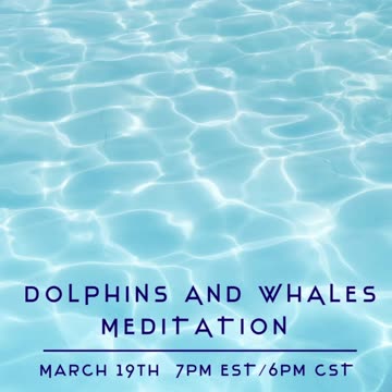 Dolphin and Whale Meditation