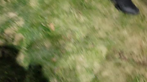 11 Scariest REAL Ghost video