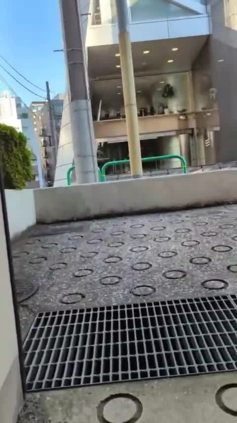 North Korean Missile