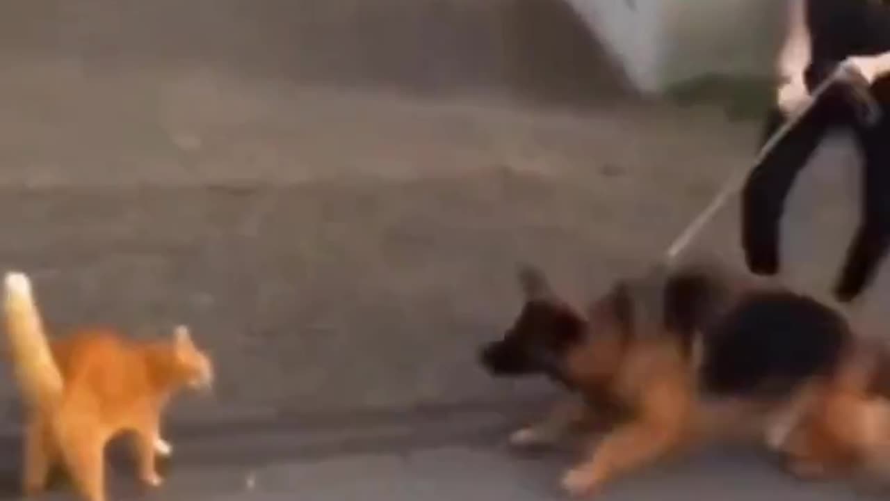 Cats are vicious bastards