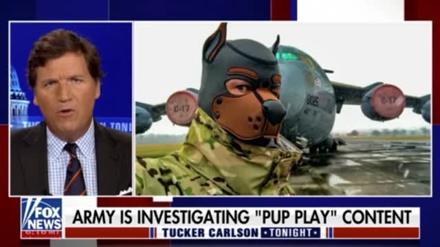 Tucker: U.S. Military Is Intentionally Embarrassing Itself - Pup Play Bondage Gear