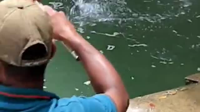 Fish catching video#trending videos