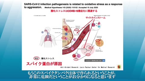 酸化ストレスから見るmRNAワクチン副反応の メカニズムと対策【完全版】