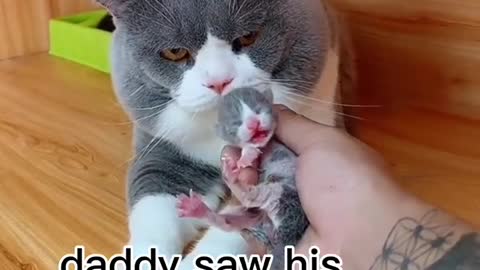 Daddy's first time to meet his baby