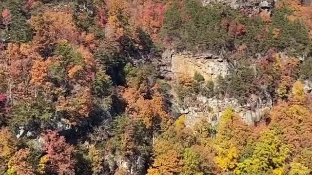 CHATTANOOGA FALL COLOR UPDATE Lookout Mountain