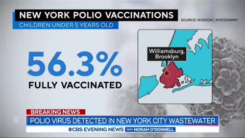 Polio virus detected inNYC wastewater