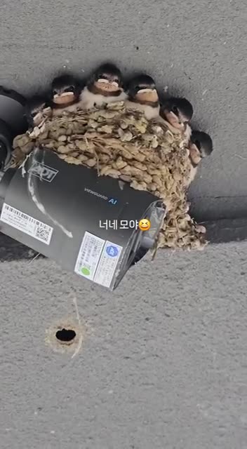 They have all the angles covered 😂😂