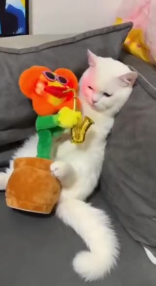 Lauren3veMemes It’s gonna be a great weekend 😆