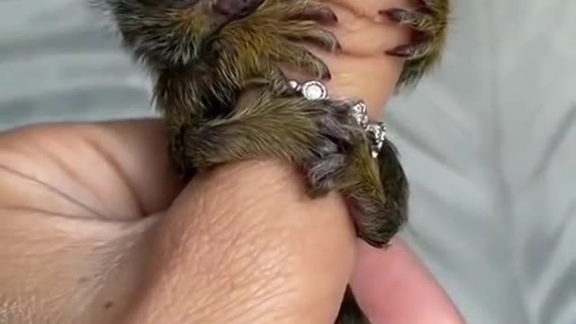 a little one on the finger