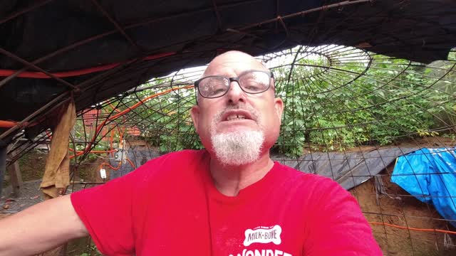 Part 1 of 3. SERMON IN THE HOLE