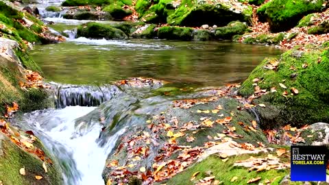 5 Minute Meditation For Anxiety Calming Waterfall Music