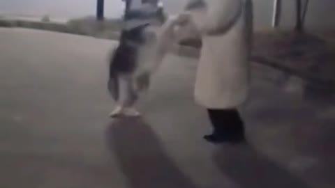 I can dance a pas de deux #fyp #dog #puppy #cute #clever #pet