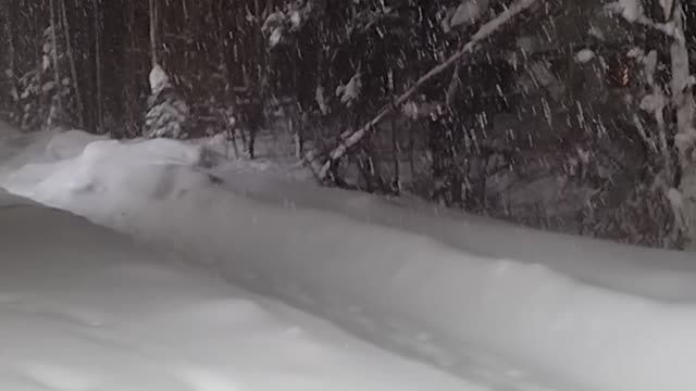 Wasilla Winter Chronicle Part 3 "Let it Snow (Repeat Twice More)"