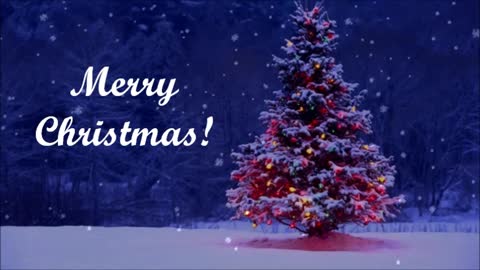 Vito Carlucci - Atsamatta For You? She's Christmas!