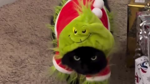 I'm a nice Grinch, promise