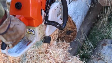 Best Chainsaw Sharpener