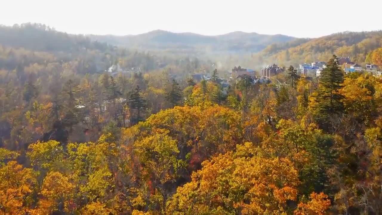 Enchanting Autumn Forests with Beautiful Piano Music