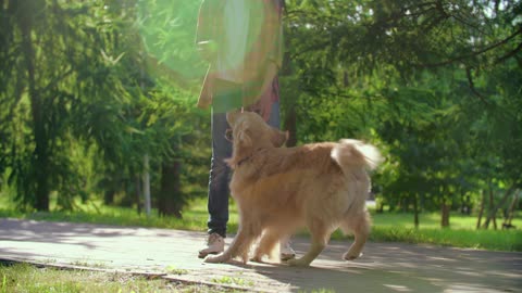 A boy playing with his dog