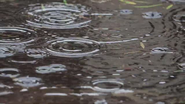 Rain Water Beautiful Video