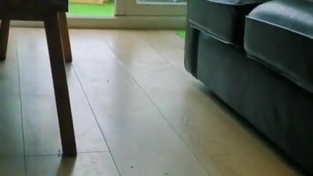 So cute