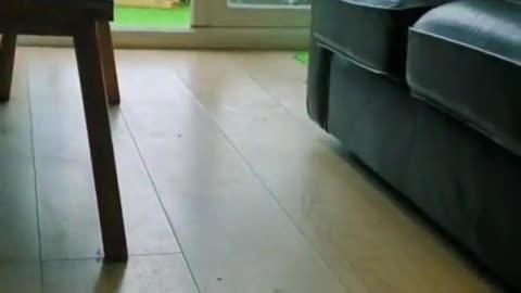 So cute