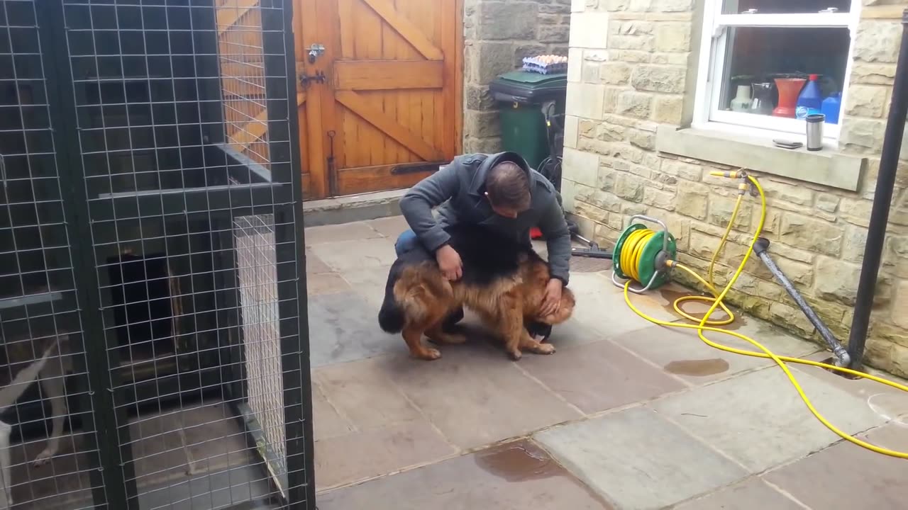 Dog cries with meet owner after few months