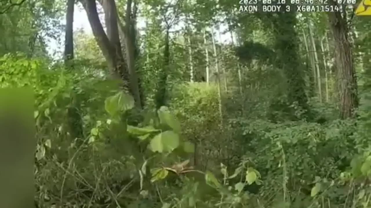 This is the funniest sheet I’ve watched today 🤣