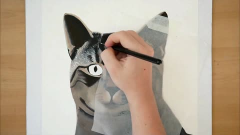 How to paint a realistic cat