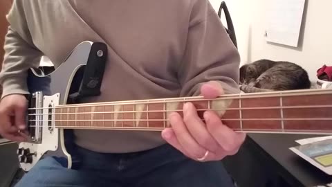 Devo - Uncontrollable Urge Bass Cover