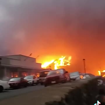 Maui Fires FROM THE SURVIVORS JEWS did it