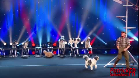 Wolfgang Lauenburger - Dressage de Chiens - Le Plus Grand Cabaret Du Monde