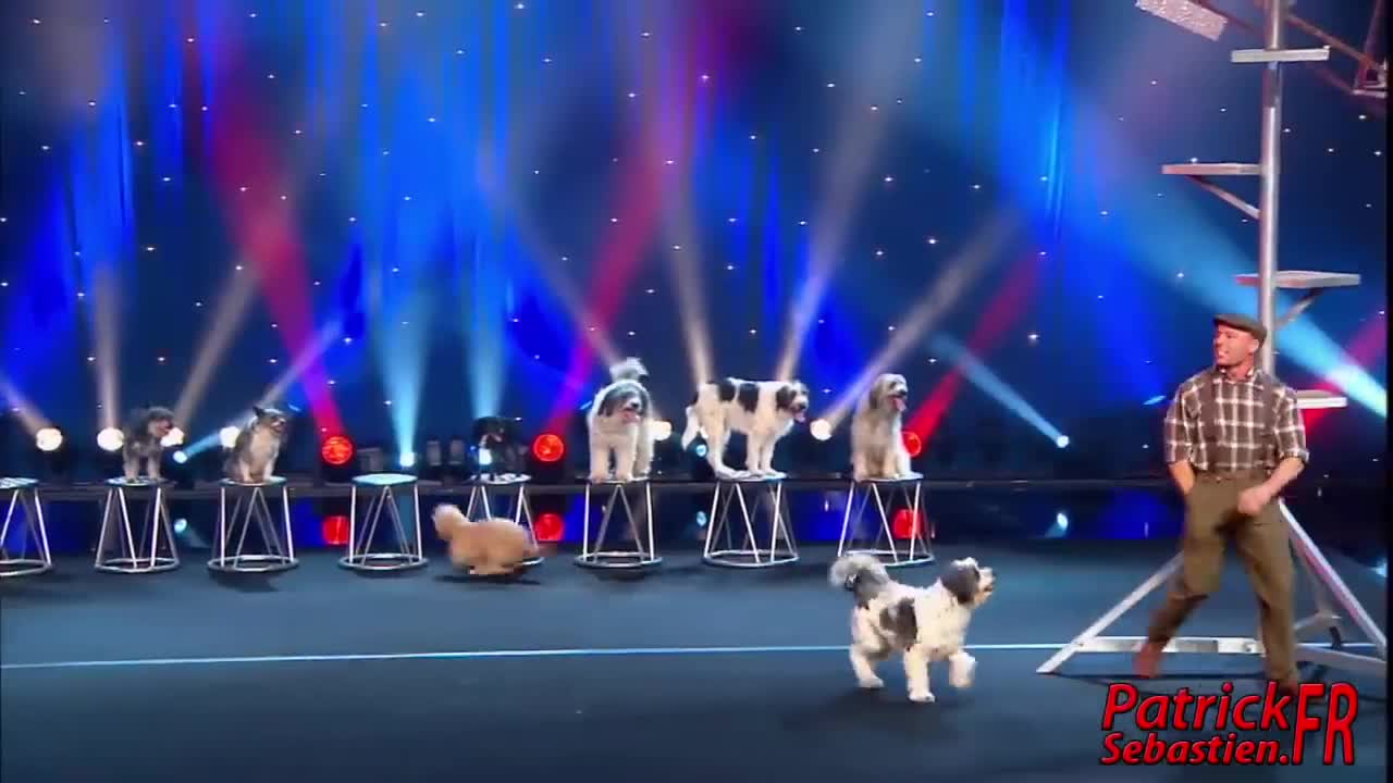 Wolfgang Lauenburger - Dressage de Chiens - Le Plus Grand Cabaret Du Monde