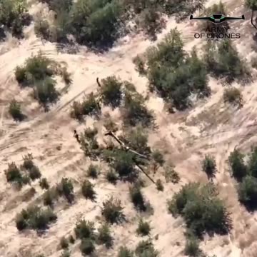 Oleshki_02.08.2023-05.08.2023