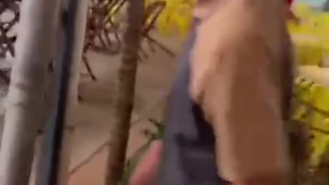 A girl with a surprise