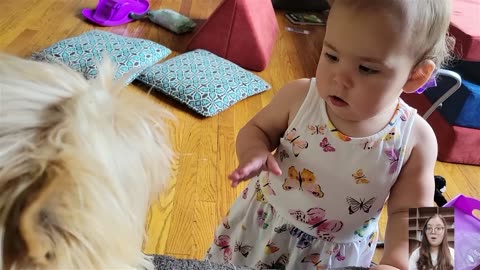 Adorable Babies Playing With Dogs Compilation