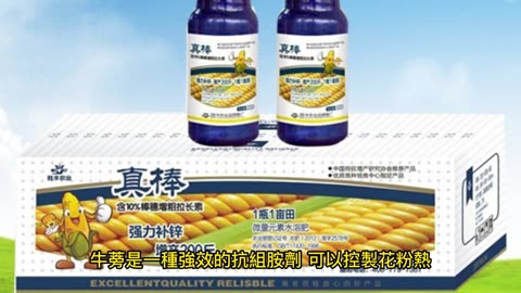 不用藥物 緩解春季過敏