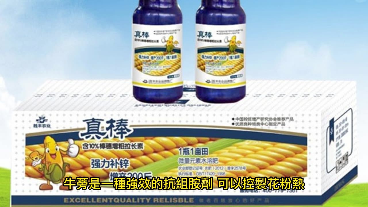 不用藥物 緩解春季過敏