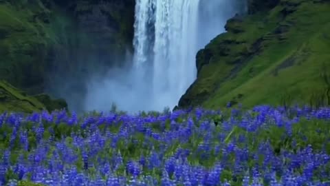 Beauty of nature 😍