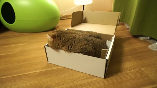 Like I said... my box