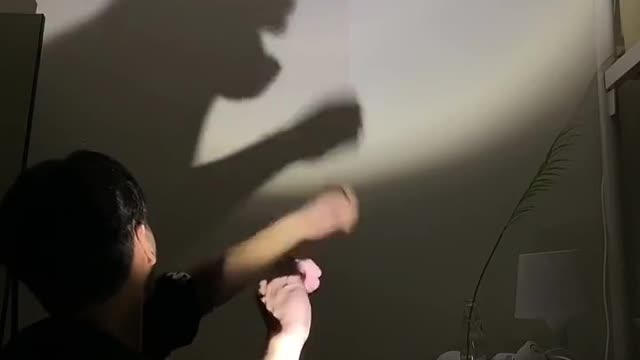 Hand shadow show