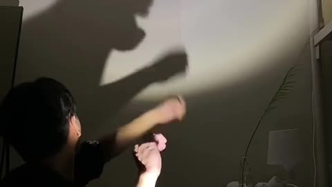 Hand shadow show