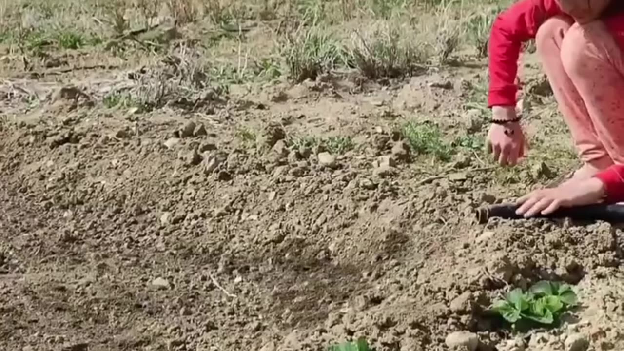 Village life 2