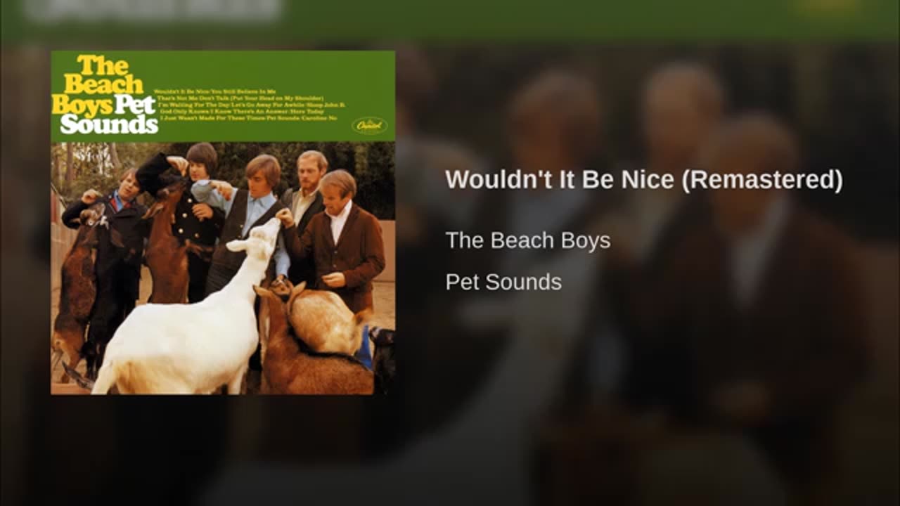 The beach boys