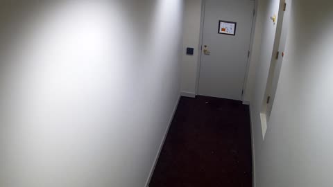 7019CVCSLHallnearStair13-HVC303_2021-01-06_02h20min00s530ms.mp4